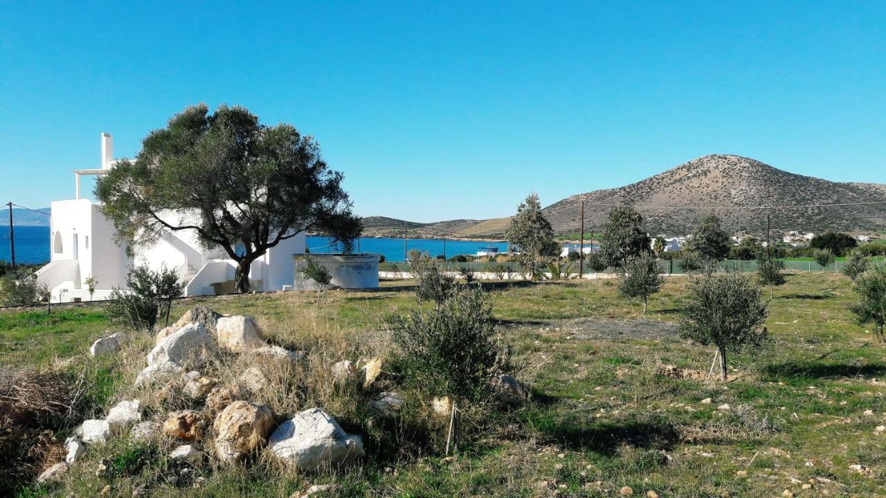 Agiassos Naxos Apartments Екстер'єр фото